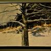 Bare Branches